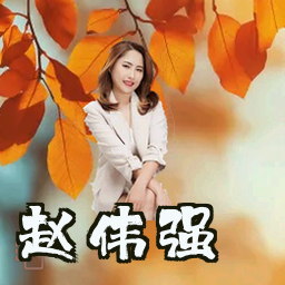 赵伟强
